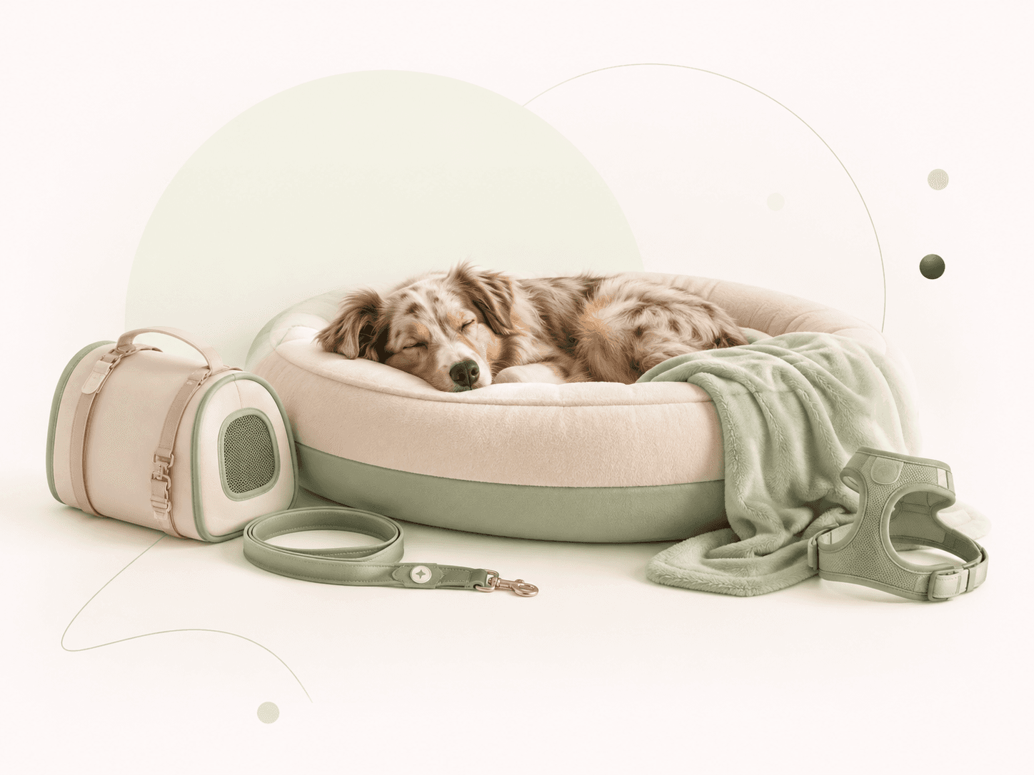Chien paisiblement endormi dans un cocon doux aux couleurs Mooqet
